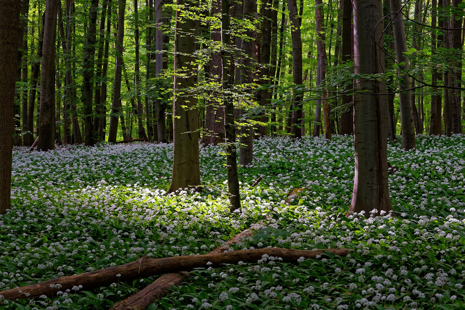 Sicher und natürlich: Oasen für Mensch und Natur